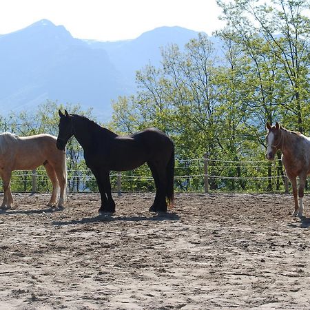 Agriturismo Serpanera Sarnano Bagian luar foto