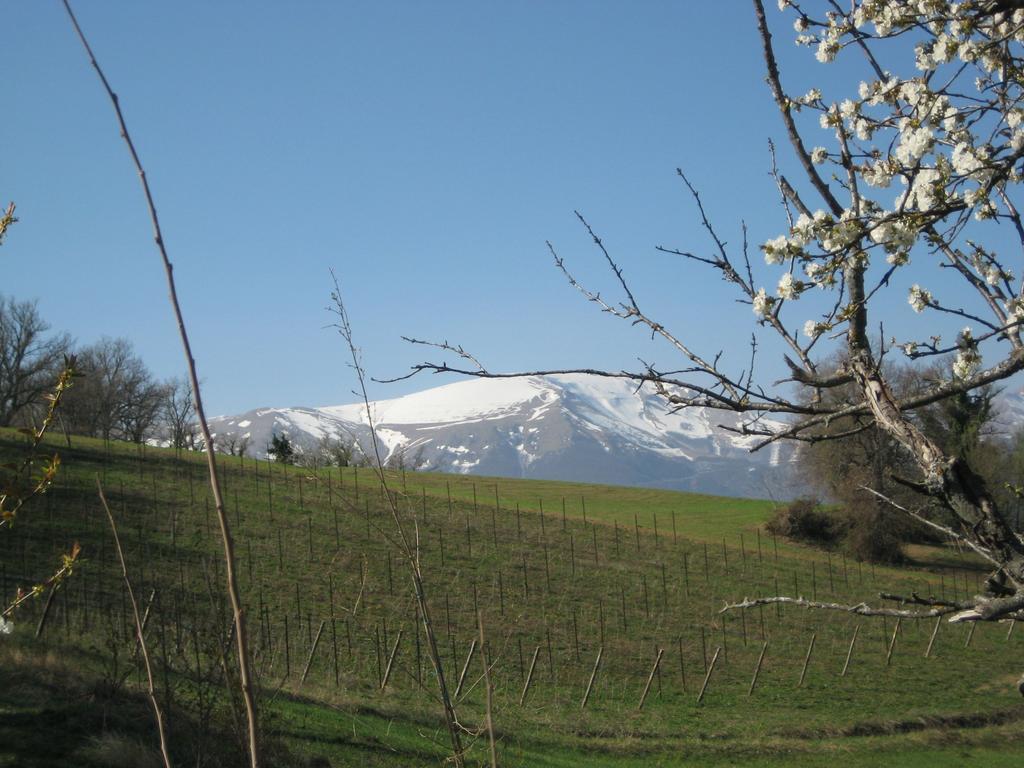 Agriturismo Serpanera Sarnano Bagian luar foto