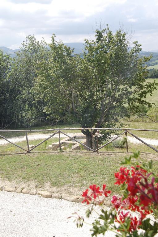 Agriturismo Serpanera Sarnano Bagian luar foto